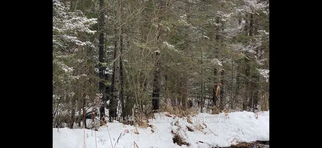 12 Edgar/Station Road Street, ON P0A 1J0