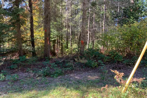 0 Grass Lake Road, ON P0A 1M0