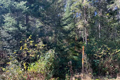 0 Grass Lake Road, ON P0A 1M0