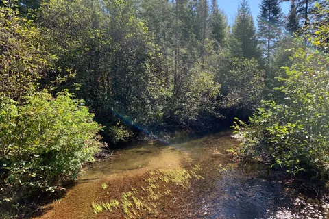 0 Grass Lake Road, ON P0A 1M0