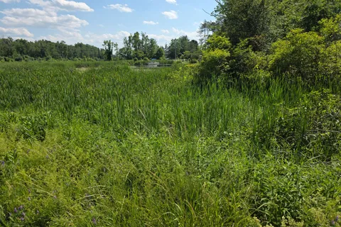 0 Emerald Isle Road, ON K0L 1T0