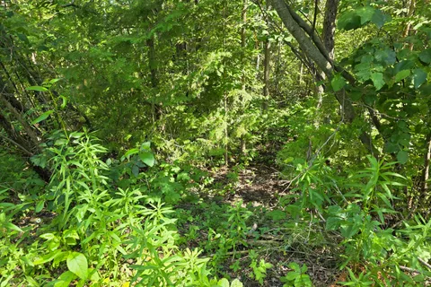 0 Emerald Isle Road, ON K0L 1T0