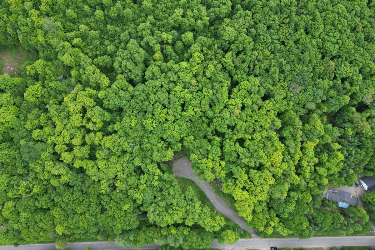 LOT 29 Bay Lake Road, ON P0A 1J0