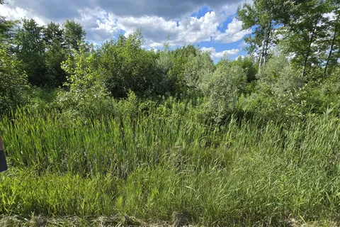 5305 Piperville Road, ON K0A 1K0