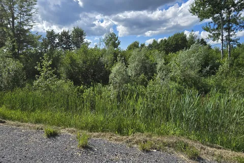 5305 Piperville Road, ON K0A 1K0