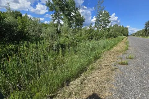 5305 Piperville Road, ON K0A 1K0