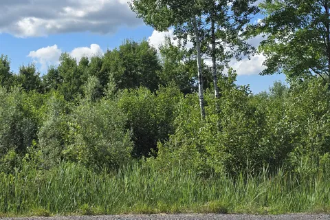 5305 Piperville Road, ON K0A 1K0