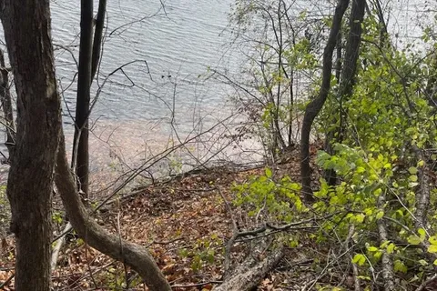 112 Cow Island N/A, ON K0L 1B0