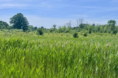 00 County Road 8 Road, ON K0E 1Y0