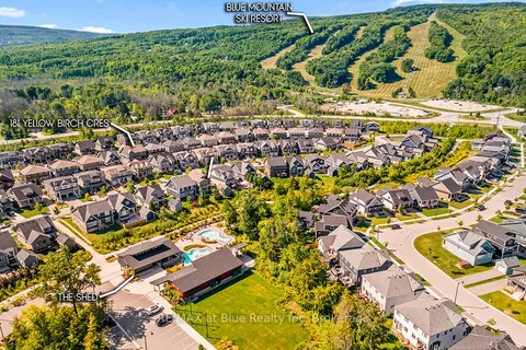 181 Yellow Birch Crescent, ON L9Y 0Z3