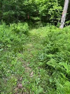 1085 Old Mine Road, ON K7M 0H2