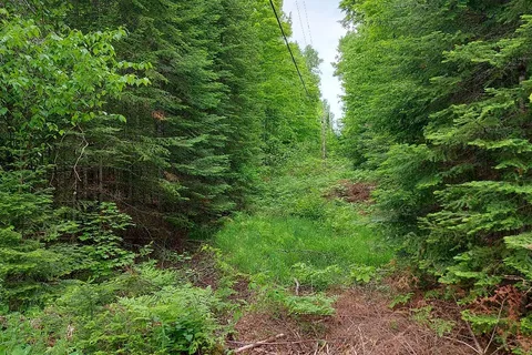 V/L Thomas Bolton Road, ON K0M 1S0