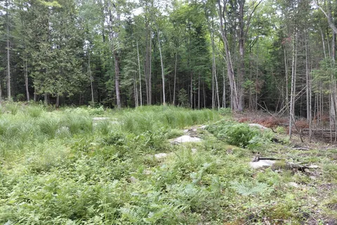 V/L Thomas Bolton Road, ON K0M 1S0