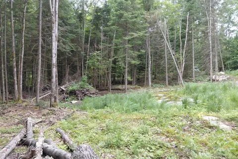 V/L Thomas Bolton Road, ON K0M 1S0