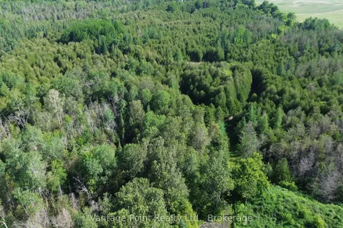 775381 10 Highway, ON N0H 1C0