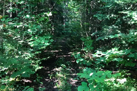 LOT 6-10 MOON Road, ON K0M 1S0