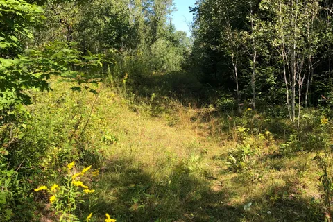 LOT 6-10 MOON Road, ON K0M 1S0