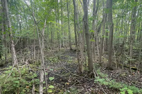 00 Adams-Cummings Road, ON K0L 2J0