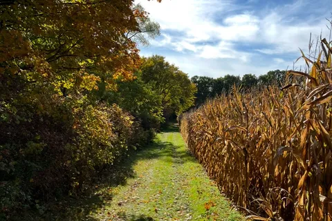 686 Goshen Road, ON N4G 3C9