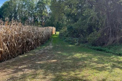 686 Goshen Road, ON N4G 3C9