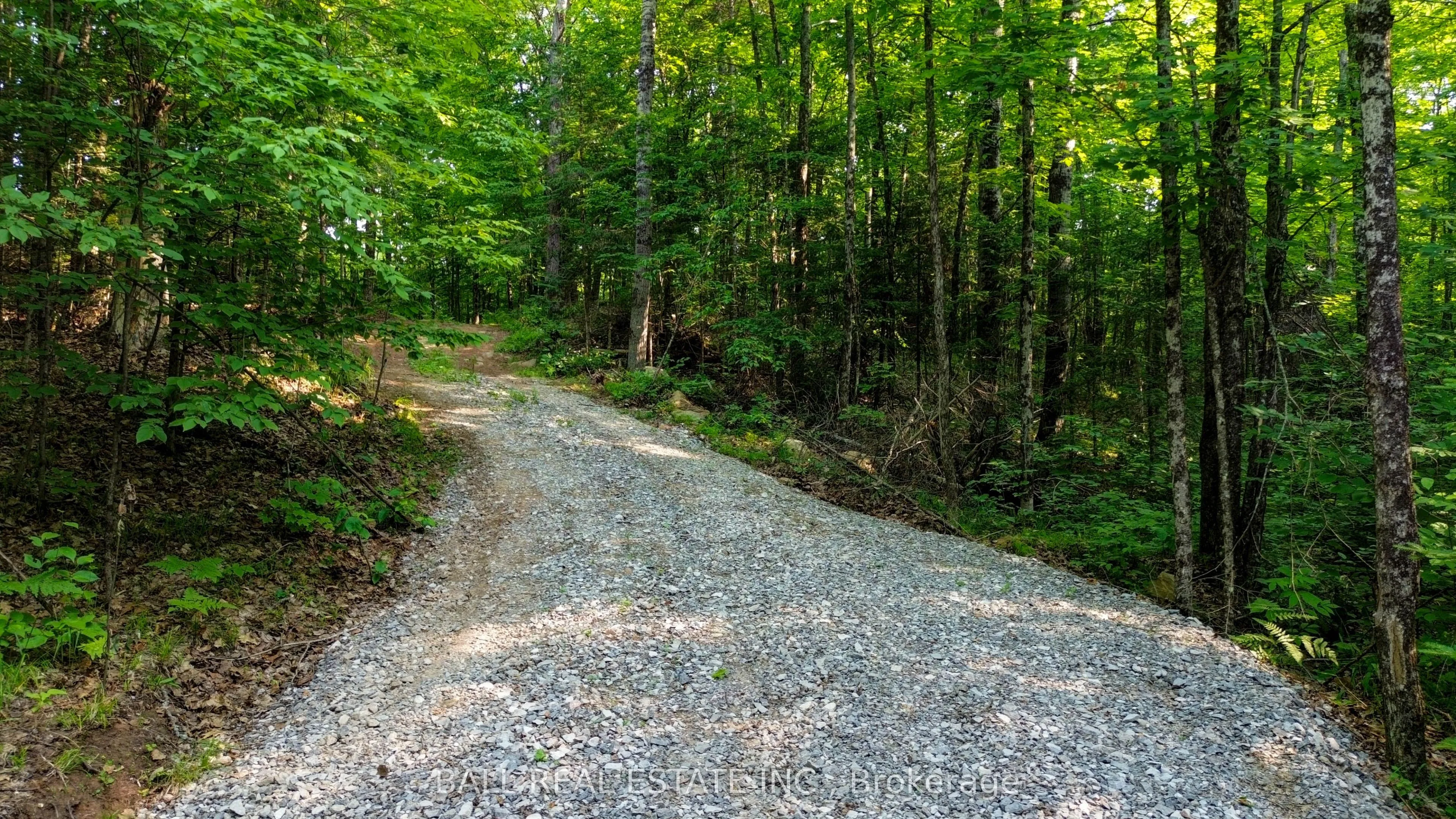 00 Rose Island Road, ON K0L 1P0