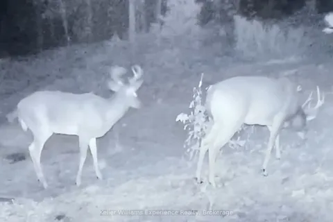 344 North Fox Lake Road, ON P1H 2J2