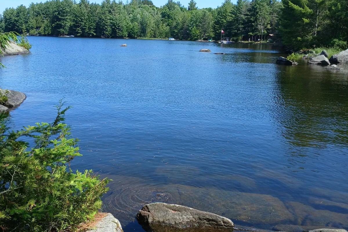 1055 Porkys Road, ON K0M 2K0