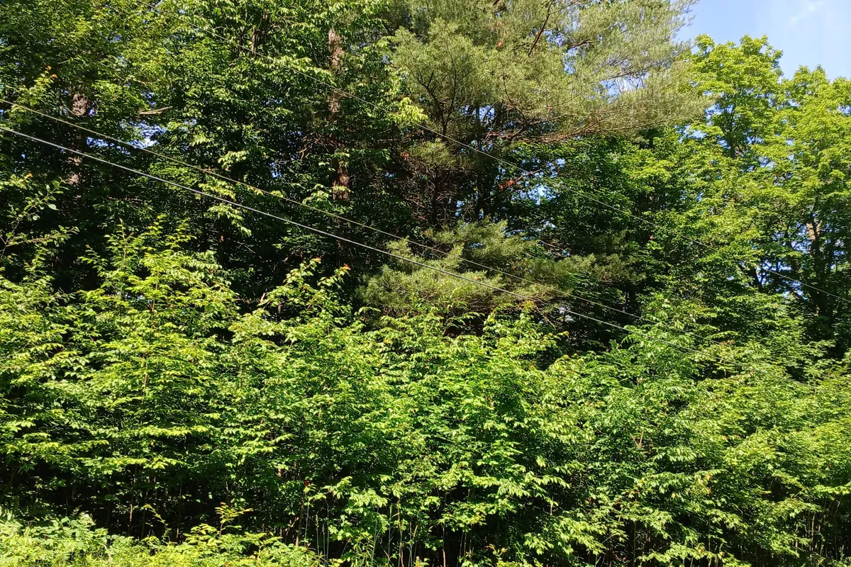 1055 Porkys Road, ON K0M 2K0