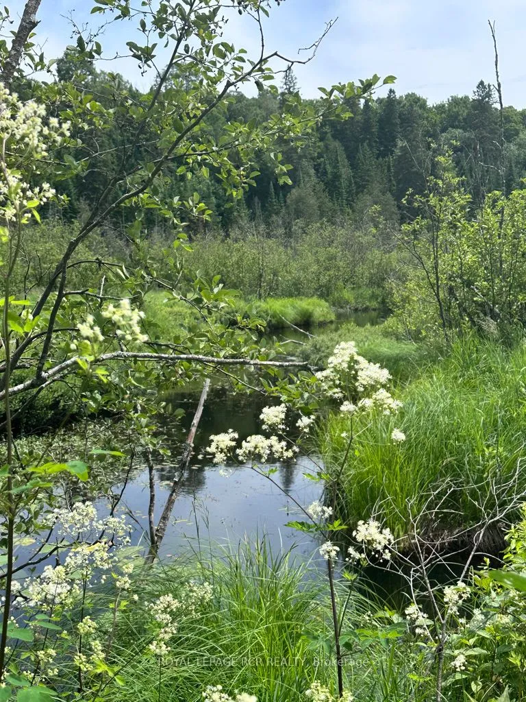 0 Pt Lt 6 Con 9 N/A, ON K0M 1R0