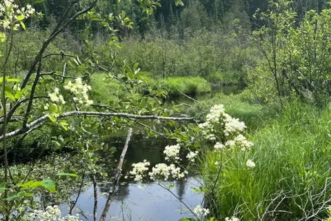 0 Pt Lt 6 Con 9 N/A, ON K0M 1R0