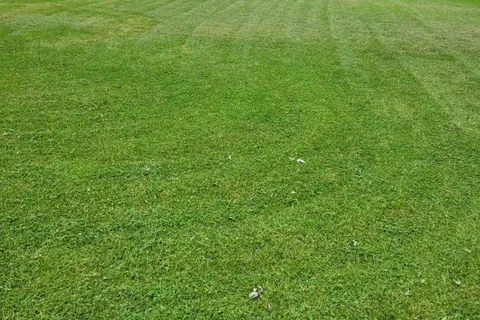 Lot 59 Quaker Hill Road, ON K7R 3K7