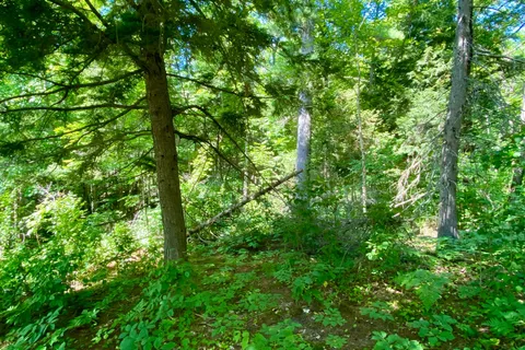 0 Conc. RD 10 and 11 Concession, ON P0H 1A0