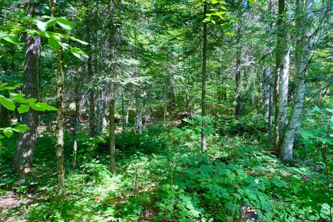 0 Conc. RD 10 and 11 Concession, ON P0H 1A0