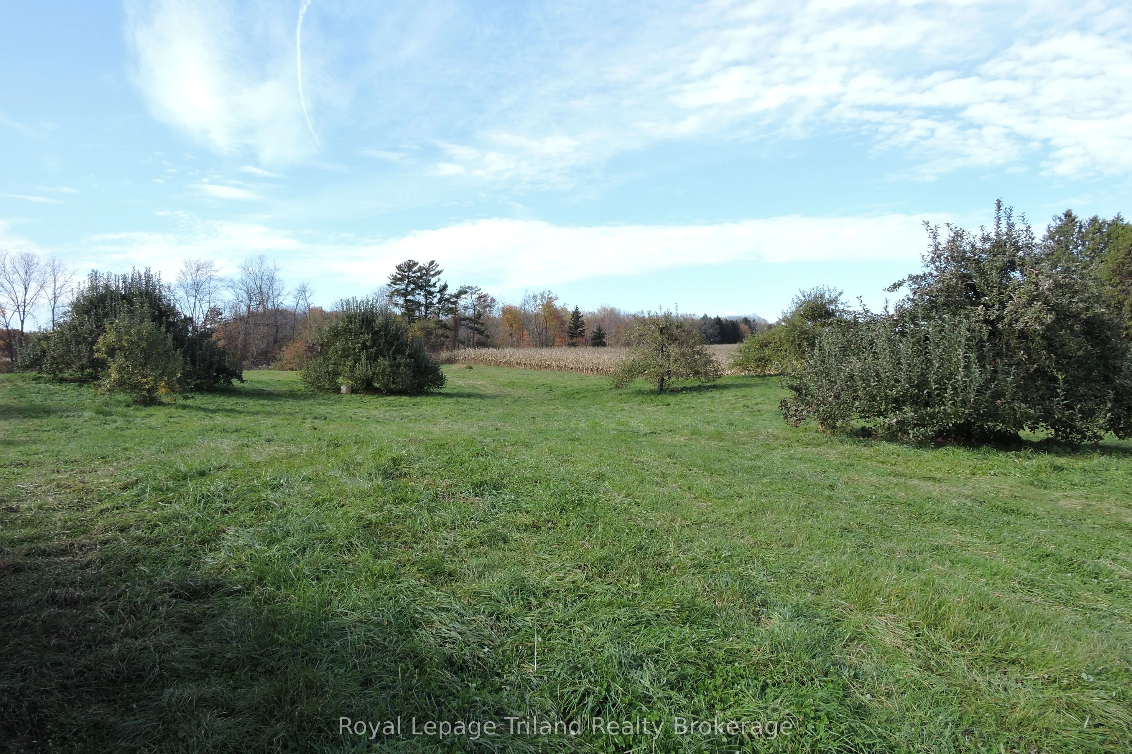 PT LOT 15 CON 1, MAIN Street, ON N0J 1C0