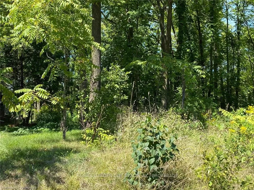 PT LT 3 Effingham Street, ON L2R 6P7