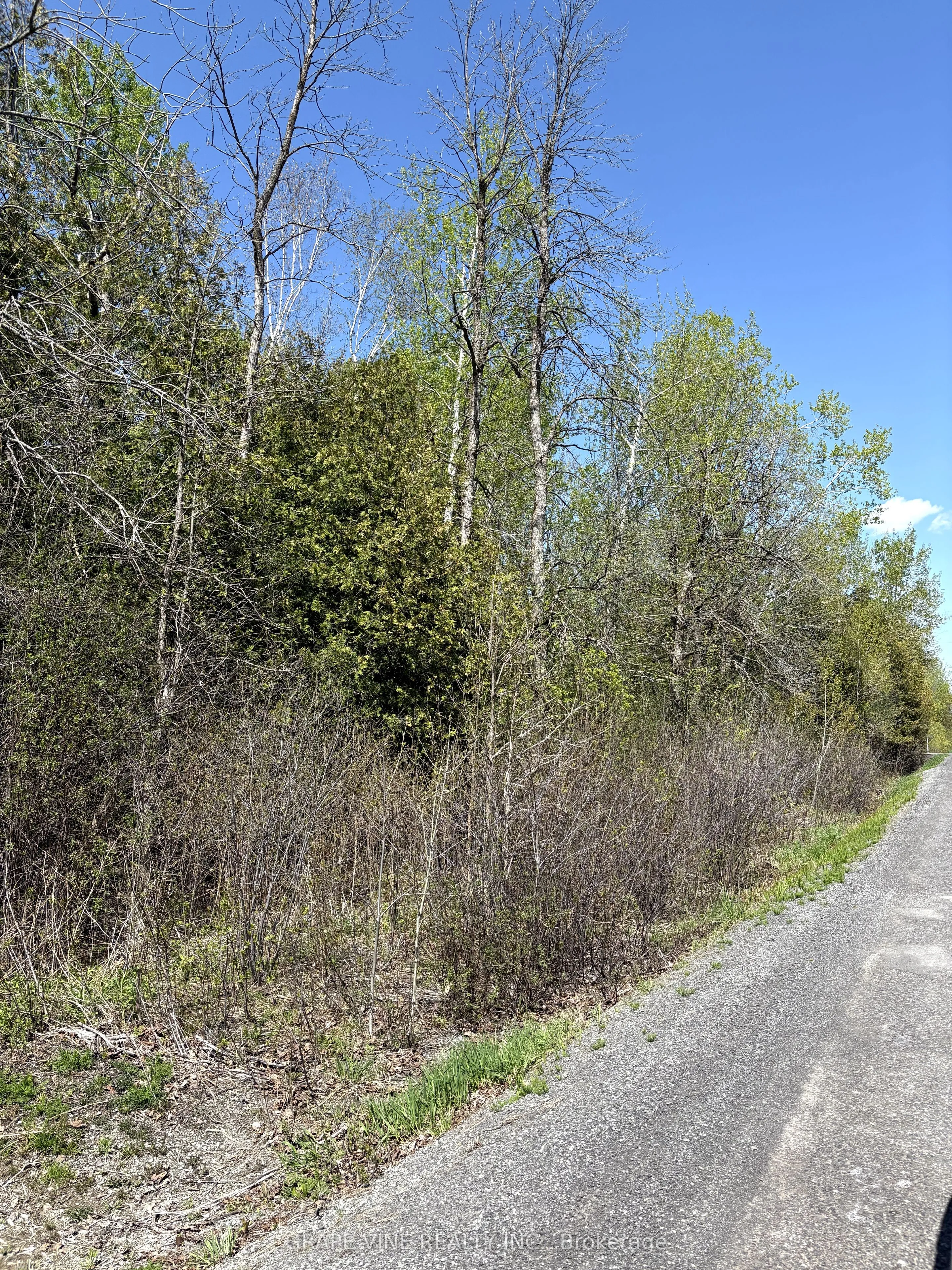 11865 (PtLt23) ARMSTRONG Road, ON K0C 2K0