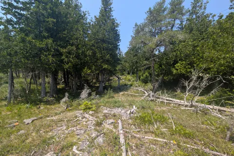 1226 Dorcas Bay Road, ON N0H 2R0