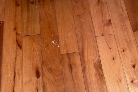 741 County Road 28 Road, ON K8N 4Z7