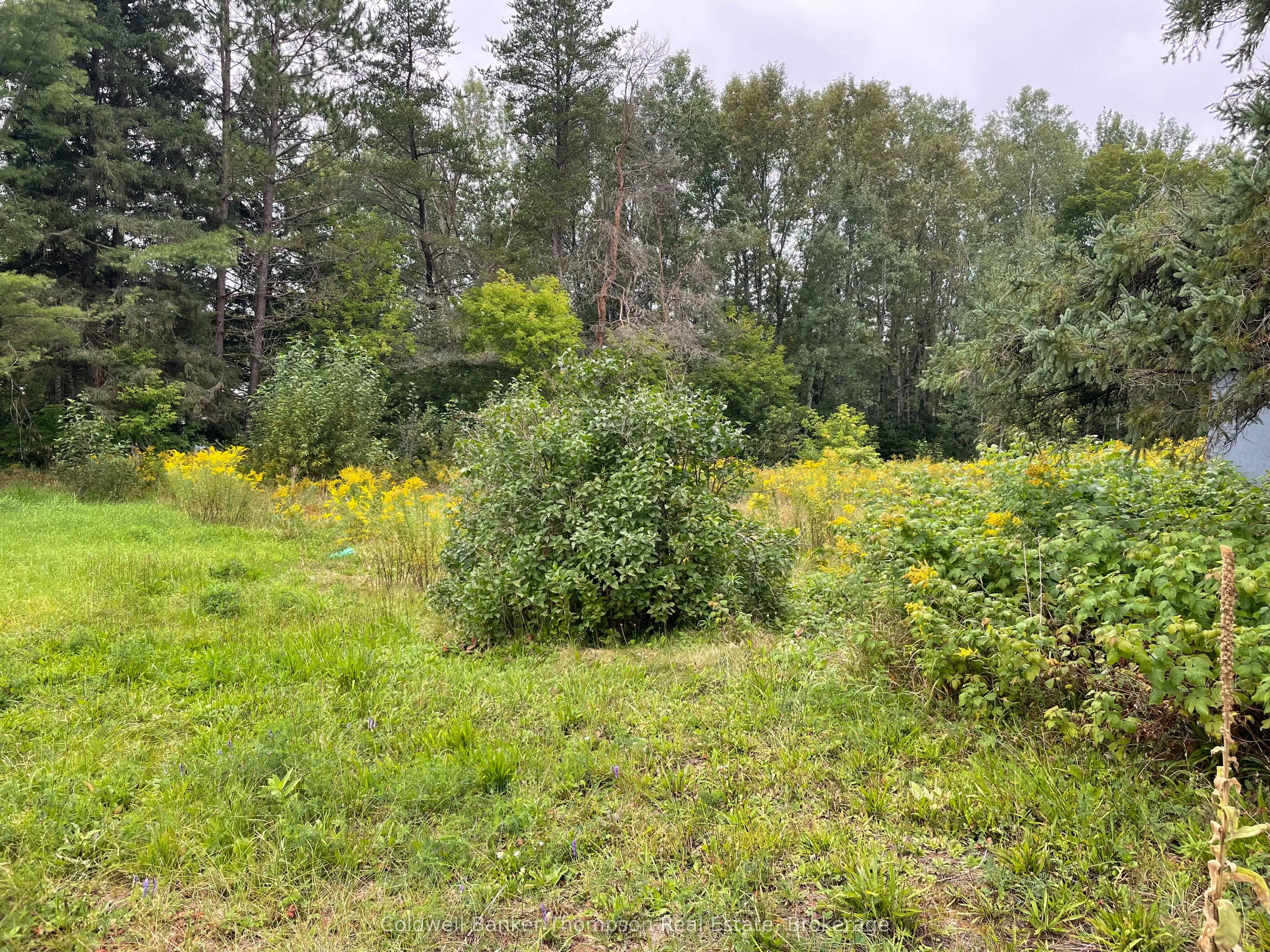 LOTS 93-95 Empire Street, ON P0A 1M0