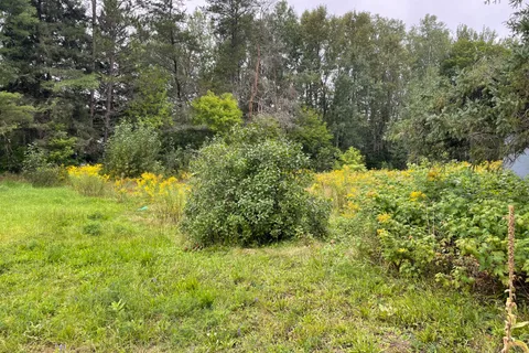 LOTS 93-95 Empire Street, ON P0A 1M0