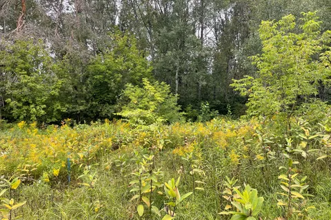 LOTS 93-95 Empire Street, ON P0A 1M0