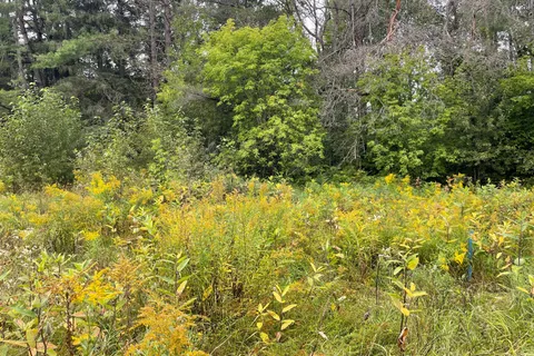 LOTS 93-95 Empire Street, ON P0A 1M0