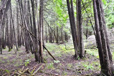 0 Whittaker Road, ON K0C 2H0