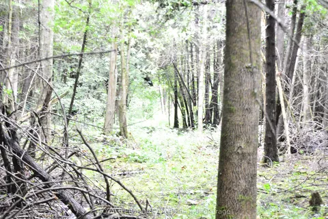 0 Whittaker Road, ON K0C 2H0