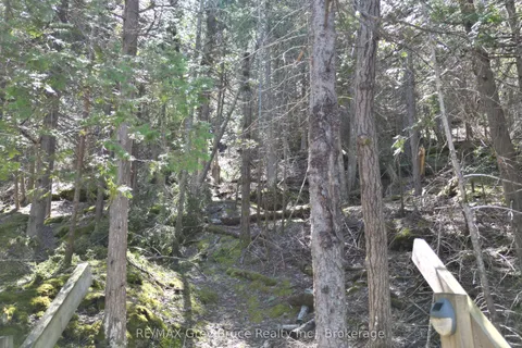 PT LT 21 Cape Chin N Shore Road, ON N0H 1W0