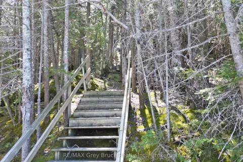 PT LT 21 Cape Chin N Shore Road, ON N0H 1W0