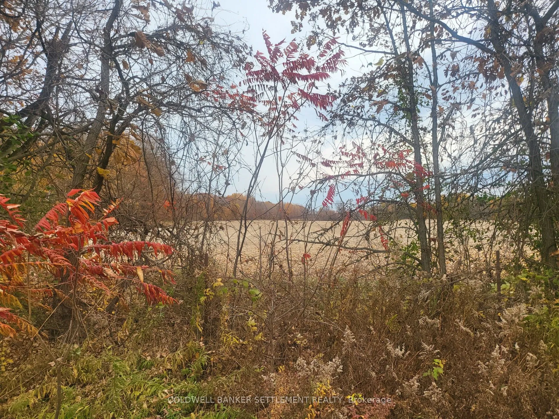 Lot 1 Bush Road, ON K0G 1E0