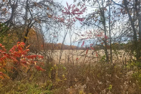 Lot 1 Bush Road, ON K0G 1E0