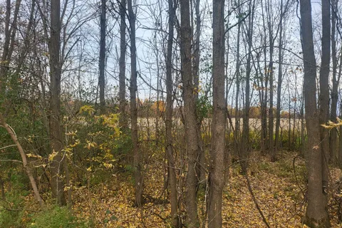 Lot 5 BUSH Road, ON K0G 1E0