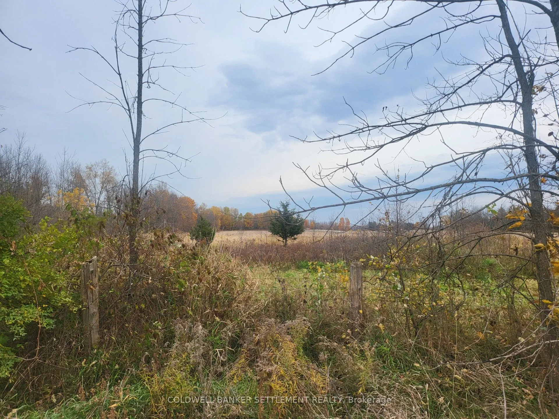 Lot 3 BUSH Road, ON K0G 1E0